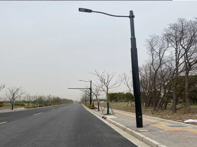 莫力达瓦达斡尔族自治旗上海综合杆 太阳能路灯工程
